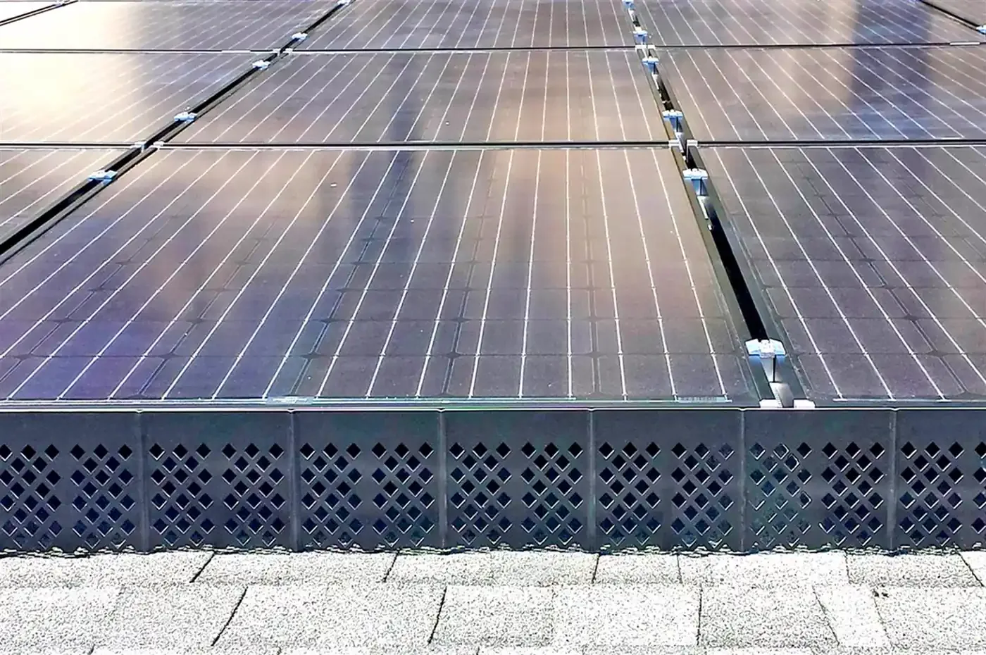 Critter guard mesh fitted around the perimeter of a rooftop solar array