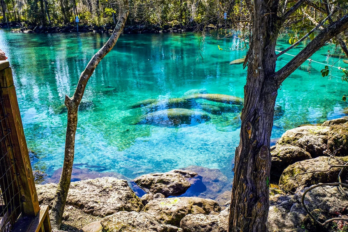 Citrus County