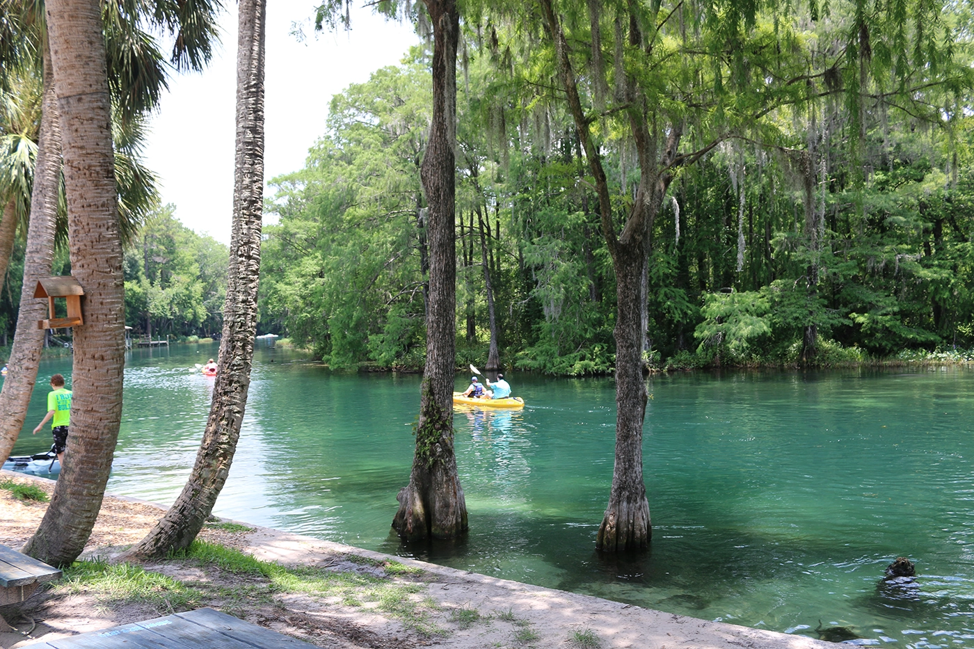 Two people paddling a yellow kayak on a calm green lake, framed by tall trees along the shore.